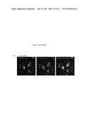 USE OF COMPOUNDS INHIBITING APELIN / APJ / GP130 SIGNALING FOR TREATING     CANCER diagram and image