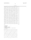 USE OF COMPOUNDS INHIBITING APELIN / APJ / GP130 SIGNALING FOR TREATING     CANCER diagram and image