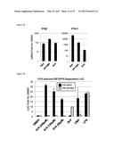 STING AGONISTS AND METHODS OF SELECTING STING AGONISTS diagram and image