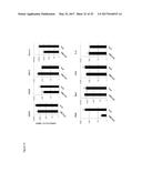 STING AGONISTS AND METHODS OF SELECTING STING AGONISTS diagram and image