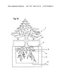 CONTAINER FOR SUPPLYING PLANT ROOTS WITH NUTRIENT SOLUTION WITHOUT THE USE     OF SOIL diagram and image