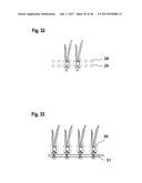 CONTAINER FOR SUPPLYING PLANT ROOTS WITH NUTRIENT SOLUTION WITHOUT THE USE     OF SOIL diagram and image