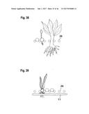 CONTAINER FOR SUPPLYING PLANT ROOTS WITH NUTRIENT SOLUTION WITHOUT THE USE     OF SOIL diagram and image