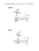 CONTAINER FOR SUPPLYING PLANT ROOTS WITH NUTRIENT SOLUTION WITHOUT THE USE     OF SOIL diagram and image