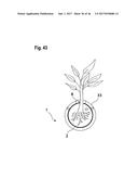 CONTAINER FOR SUPPLYING PLANT ROOTS WITH NUTRIENT SOLUTION WITHOUT THE USE     OF SOIL diagram and image