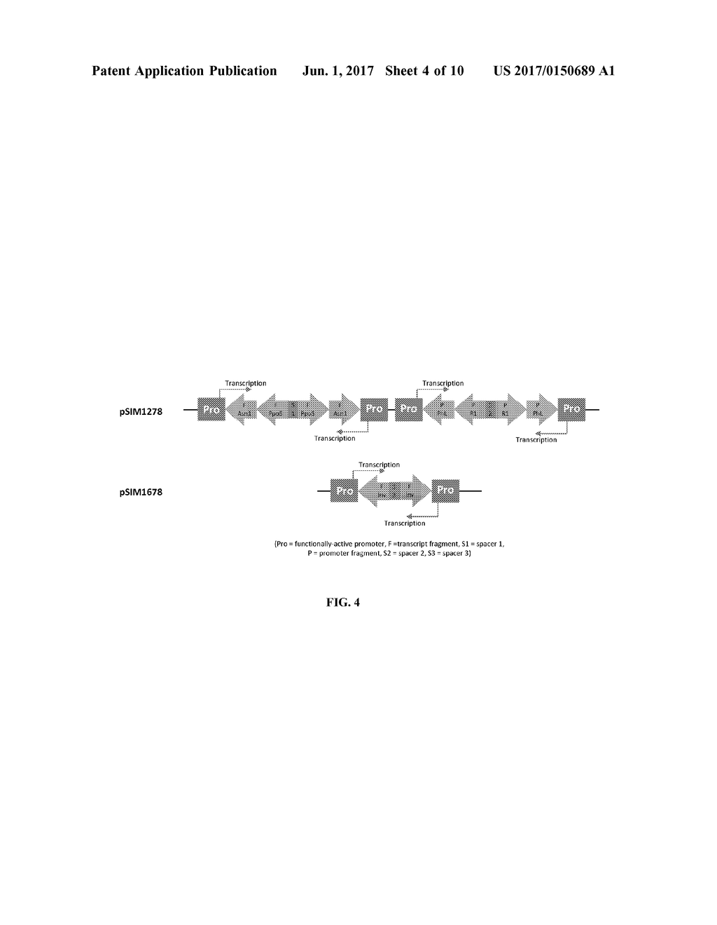POTATO CULTIVAR W8 - diagram, schematic, and image 05