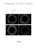 METHOD AND SYSTEM FOR QUANTITATIVE ASSESSMENT OF VISUAL MOTOR RESPONSE diagram and image