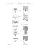 SELECTIVE FAT REMOVAL USING PHOTOTHERMAL HEATING diagram and image