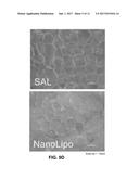 SELECTIVE FAT REMOVAL USING PHOTOTHERMAL HEATING diagram and image