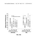 SELECTIVE FAT REMOVAL USING PHOTOTHERMAL HEATING diagram and image