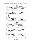 ROBUST SWING LEG CONTROLLER UNDER LARGE DISTURBANCES diagram and image