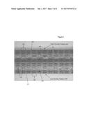 STENTS HAVING A HYBRID PATTERN AND METHODS OF MANUFACTURE diagram and image