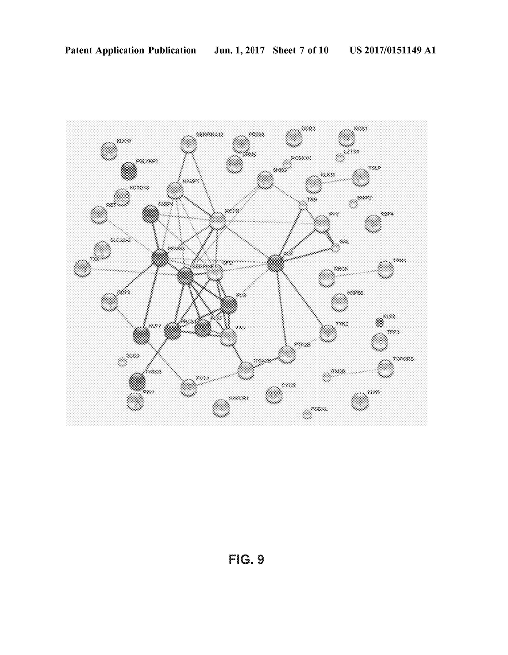 TOPICAL SKIN COMPOSITIONS HAVING PROTEINS AND METHODS OF USE - diagram, schematic, and image 08