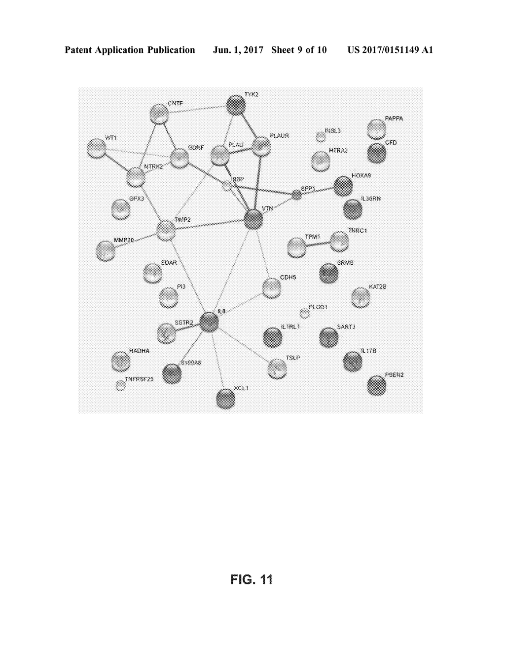 TOPICAL SKIN COMPOSITIONS HAVING PROTEINS AND METHODS OF USE - diagram, schematic, and image 10