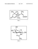 COMBINATION OF N-ACETYL GLUCOSAMINE WITH ABSCISIC ACID AND USES THEREOF diagram and image