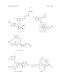 Methods for Treating HCV diagram and image