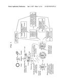 2,4-Pyrimidinediamine Compounds and Their Uses diagram and image