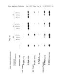 2,4-Pyrimidinediamine Compounds and Their Uses diagram and image