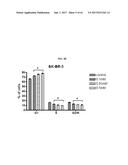 Methods for the Treatment of HER2 Amplified Cancer diagram and image