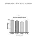 Methods for the Treatment of HER2 Amplified Cancer diagram and image