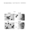 Methods for the Treatment of HER2 Amplified Cancer diagram and image