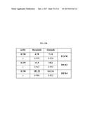 Methods for the Treatment of HER2 Amplified Cancer diagram and image