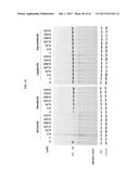 Methods for the Treatment of HER2 Amplified Cancer diagram and image