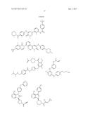 Methods for the Treatment of HER2 Amplified Cancer diagram and image