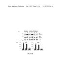 METHODS FOR TREATMENT AND PREVENTION OF TAUOPATHIES AND AMYLOID BETA     AMYLOIDOSIS BY MODULATING CRF RECEPTOR SIGNALING diagram and image