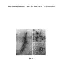 METHODS FOR TREATMENT AND PREVENTION OF TAUOPATHIES AND AMYLOID BETA     AMYLOIDOSIS BY MODULATING CRF RECEPTOR SIGNALING diagram and image