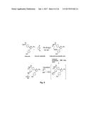 METHODS AND COMPOSITIONS FOR ENHANCED DRUG DELIVERY TO THE EYE AND     EXTENDED DELIVERY FORMULATIONS diagram and image