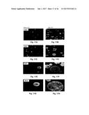 METHODS AND COMPOSITIONS FOR ENHANCED DRUG DELIVERY TO THE EYE AND     EXTENDED DELIVERY FORMULATIONS diagram and image