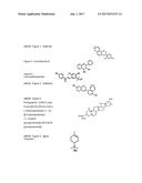 Novel Androgen Effectors diagram and image