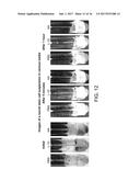 COMPOSITIONS AND METHODS FOR PREPARING AN INJECTABLE MEDIUM  FOR     ADMINISTRATION INTO THE CENTRAL NERVOUS SYSTEM diagram and image