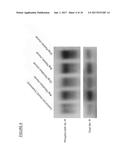 METHODS AND COMPOSITIONS OF CHONDRISOMES diagram and image