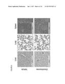 METHODS AND COMPOSITIONS OF CHONDRISOMES diagram and image