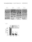 USE OF CHI-JU-DI-HUANG-WAN IN TREATING RETINAL ISCHEMIA OR A DISEASE,     CONDITION, OR DISORDER ASSOCIATED WITH RETINAL ISCHEMIA diagram and image