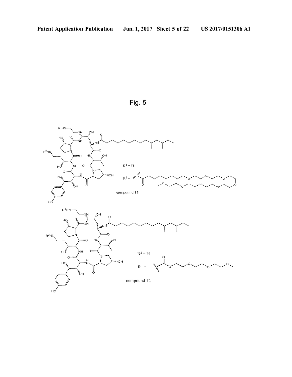 DOSING REGIMENS FOR ECHINOCANDIN CLASS COMPOUNDS - diagram, schematic, and image 06