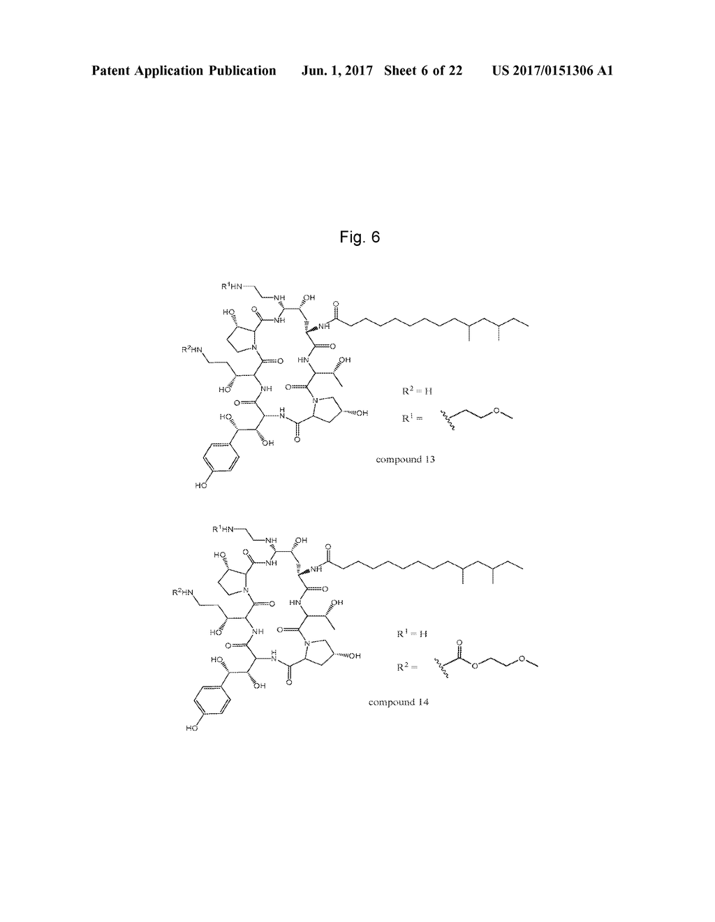 DOSING REGIMENS FOR ECHINOCANDIN CLASS COMPOUNDS - diagram, schematic, and image 07