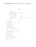 DOSING REGIMENS FOR ECHINOCANDIN CLASS COMPOUNDS diagram and image