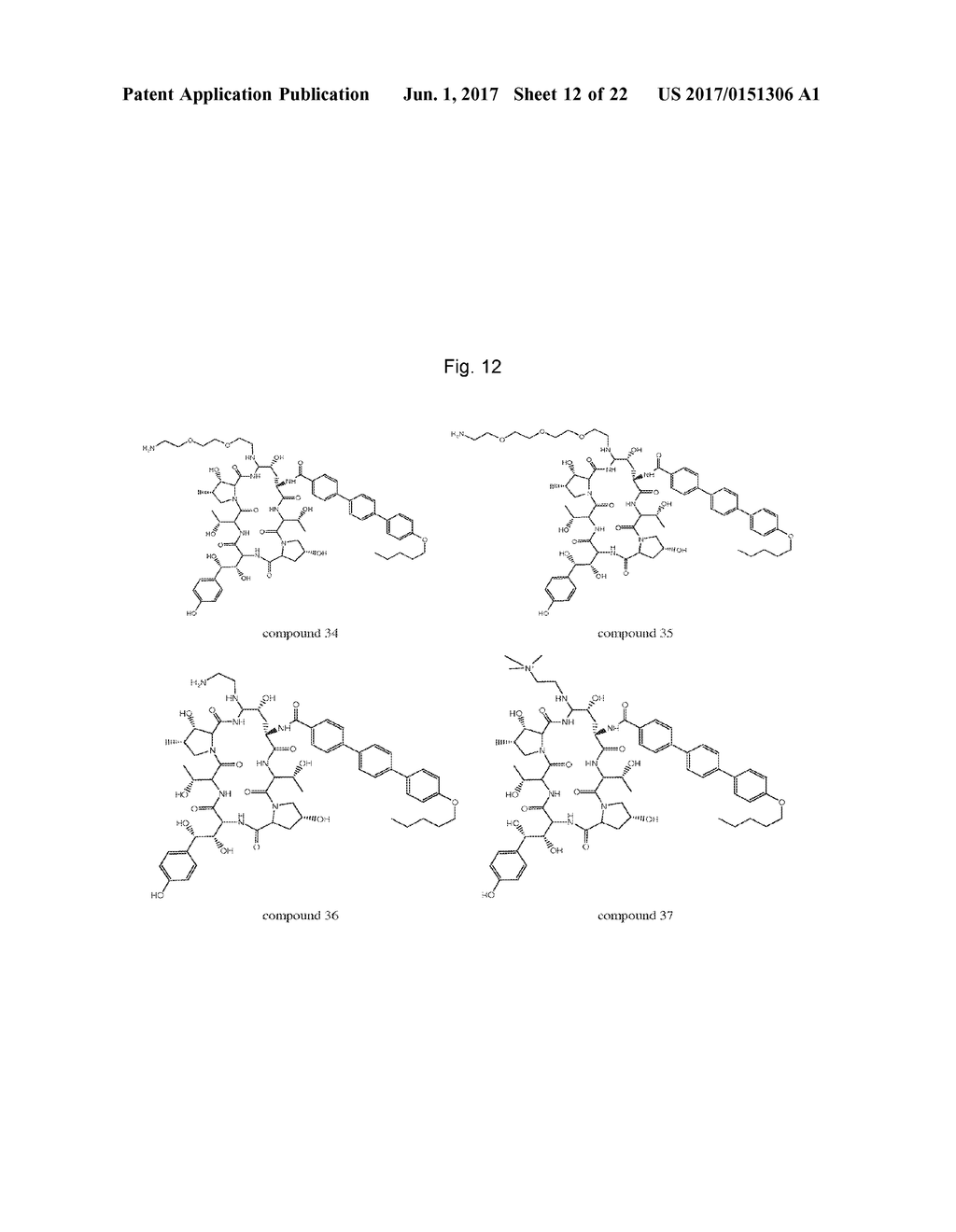 DOSING REGIMENS FOR ECHINOCANDIN CLASS COMPOUNDS - diagram, schematic, and image 13