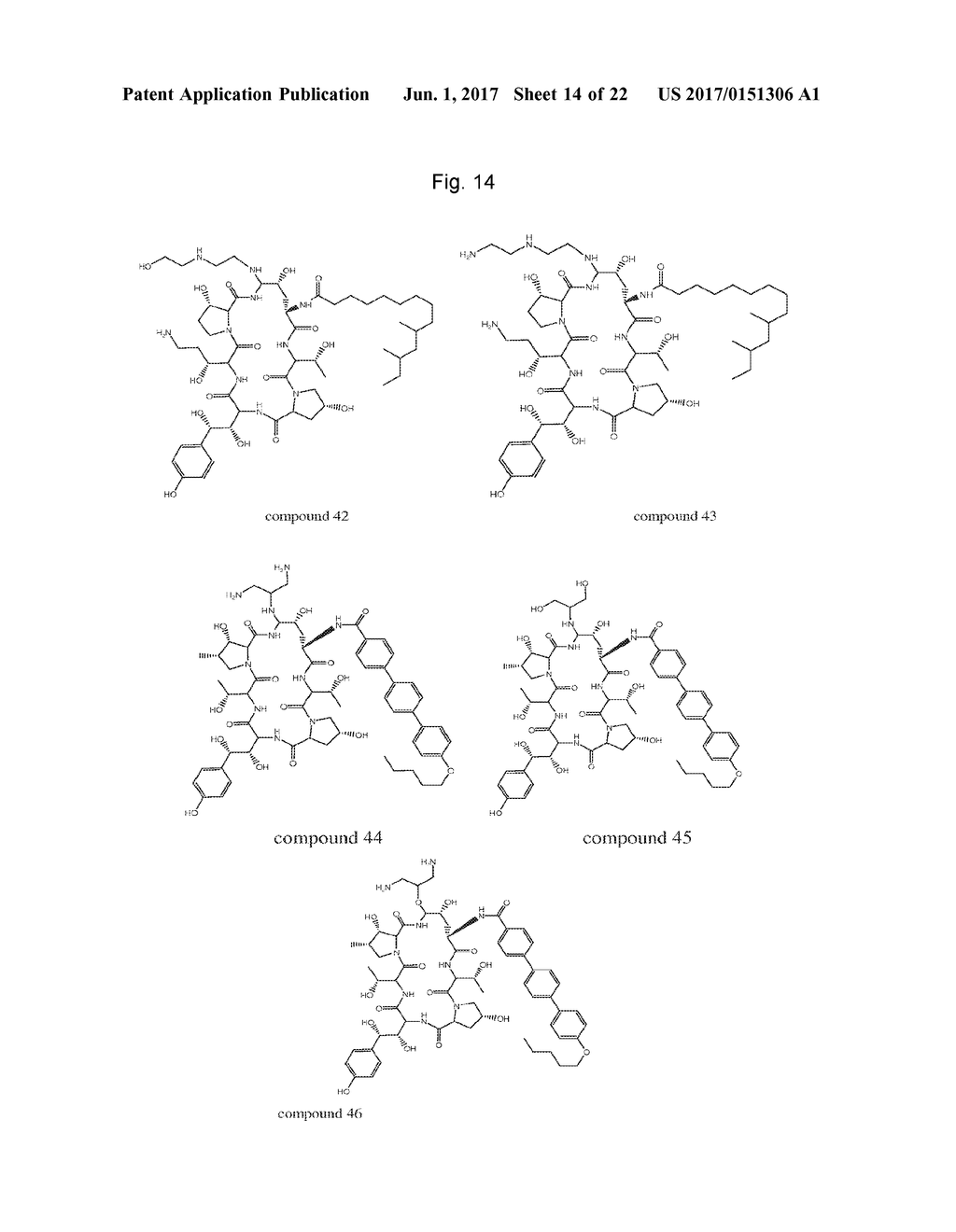 DOSING REGIMENS FOR ECHINOCANDIN CLASS COMPOUNDS - diagram, schematic, and image 15