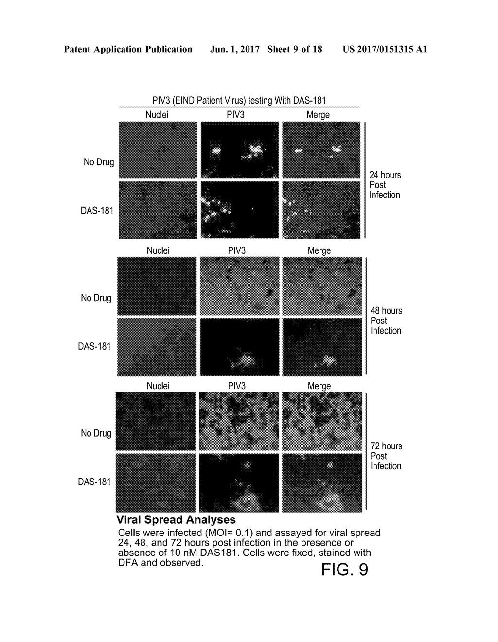 Methods, Compounds and Compositions for Treatment of Influenza and     Parainfluenza Patients - diagram, schematic, and image 10