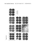 CELL LINES FOR VIRUS PRODUCTION AND METHODS OF USE diagram and image