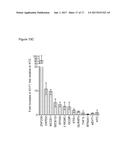 CELL LINES FOR VIRUS PRODUCTION AND METHODS OF USE diagram and image