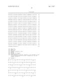 RECOMBINANT SWINE INFLUENZA VIRUS AND USES THEREOF diagram and image