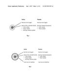 COMPOSITIONS OF FOOD ALLERGENS diagram and image