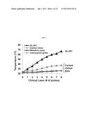 ULTRASOUND DELIVERY OF NANOPARTICLES diagram and image