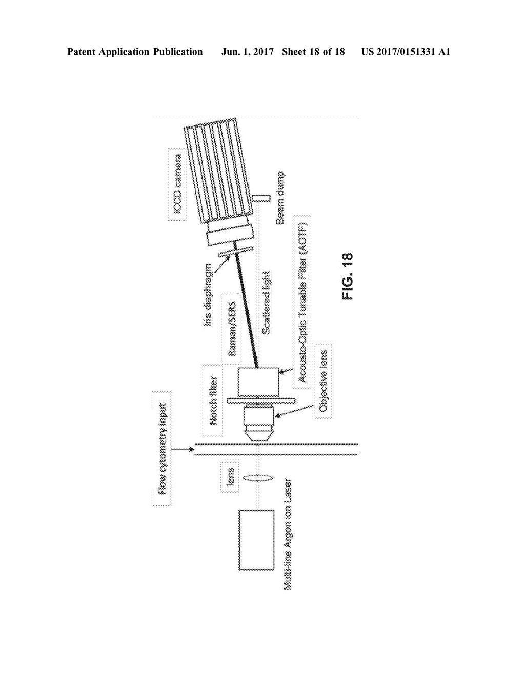 NANOSTARS AND NANOCONSTRUCTS FOR DETECTION, IMAGING, AND THERAPY - diagram, schematic, and image 19