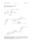 TARGETED CONJUGATES AND PARTICLES AND FORMULATIONS THEREOF diagram and image